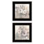Transitional Blooms 2-Piece Vignette Framed Wall Art for Home Wall Décor by Stellar Design Studio-115592713