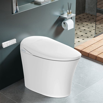 Toilette bidet allongée à double chasse