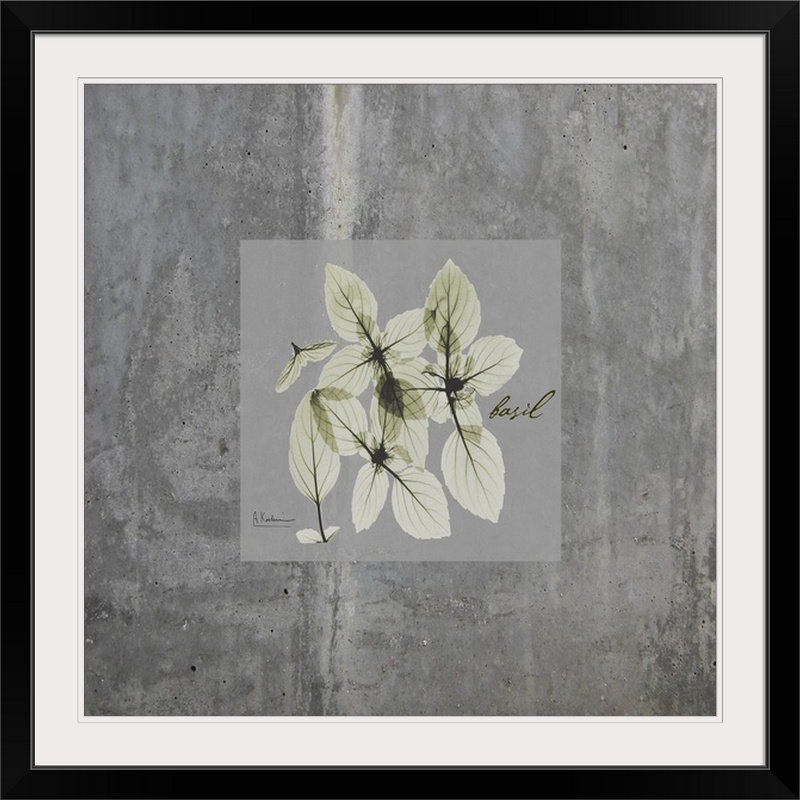 «Concrete Basil» par Redmayne, impression, H 24 po x l 24 po x P 1 po, Cadre noir