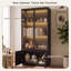 170cm Black Display Cabinet with Aluminium-Framed Glass Doors, 4-Tier Storage & Remote-Controlled LED Lighting