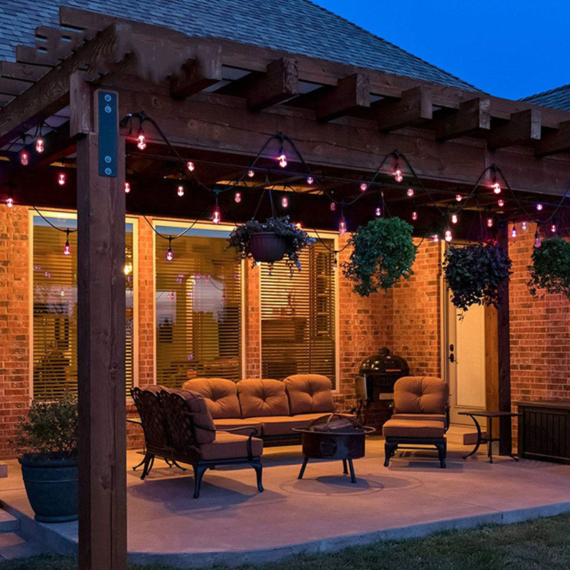 Pink Patio Bulbs (4300-F) - Sold in packages of 12