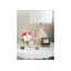 Dish-1107722788-1107722785