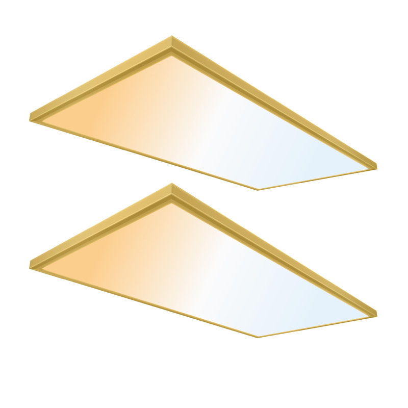 Panneau de plafonnier à fixation en surface - mince, bord éclairé, panneau plat encastré, L 48 po x P 24 po, Or brossé