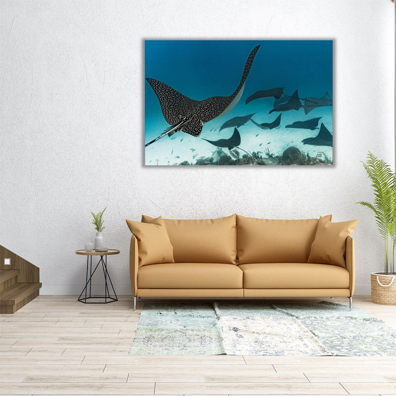Ray Day I - reproduction d'art sur toile, H 20 po x l 30 po