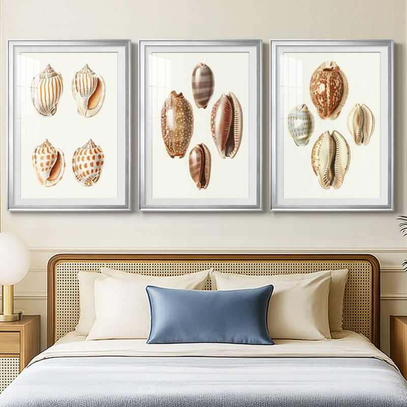 Lamarck Shells I - reproduction sur mesure encadrée de qualité supérieure - 3 pièces, Argent argent, H 21 po x l 30 po