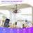 20-Inch Outdoor Plug-In Hanging Caged Ceiling Fan with LED Light, Remote and App Control, Black Brush Gold-133733997-133733995