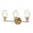 3 - Light Vanity Light