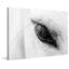 « trusting eye », reproduction d’art sur toile tendue-17695741