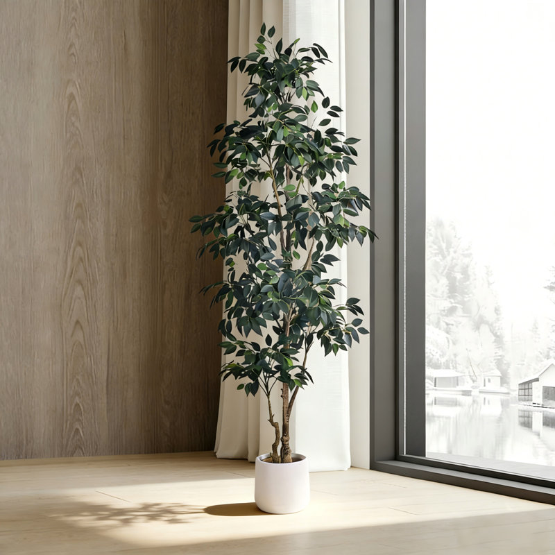 Faux Ficus Tree in Pot, 180.3 cm x 22.4 cm