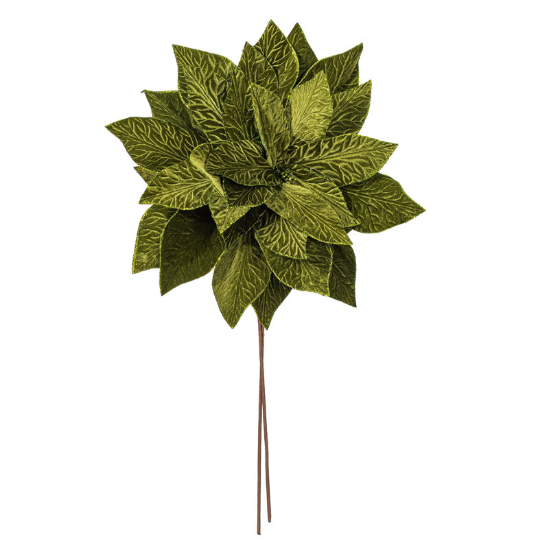 Tiges de poinsettia, Vert
