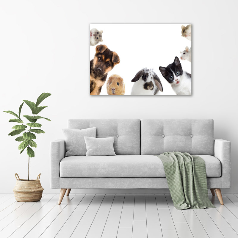 Pets - No Frame Print on Glass