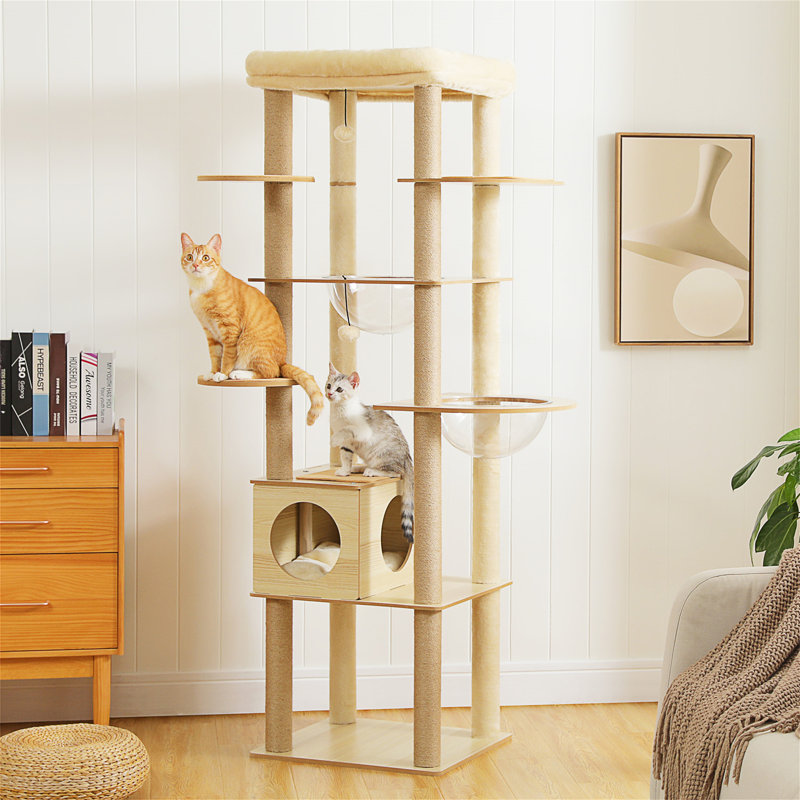 Arbre à chat