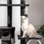 260cm H Cat Tree