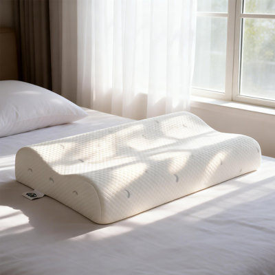  Contour Cervical Pillow for Neck Pain – Memory Foam, Tencel Cooling Cover, Queen, Bed-in-a-Box