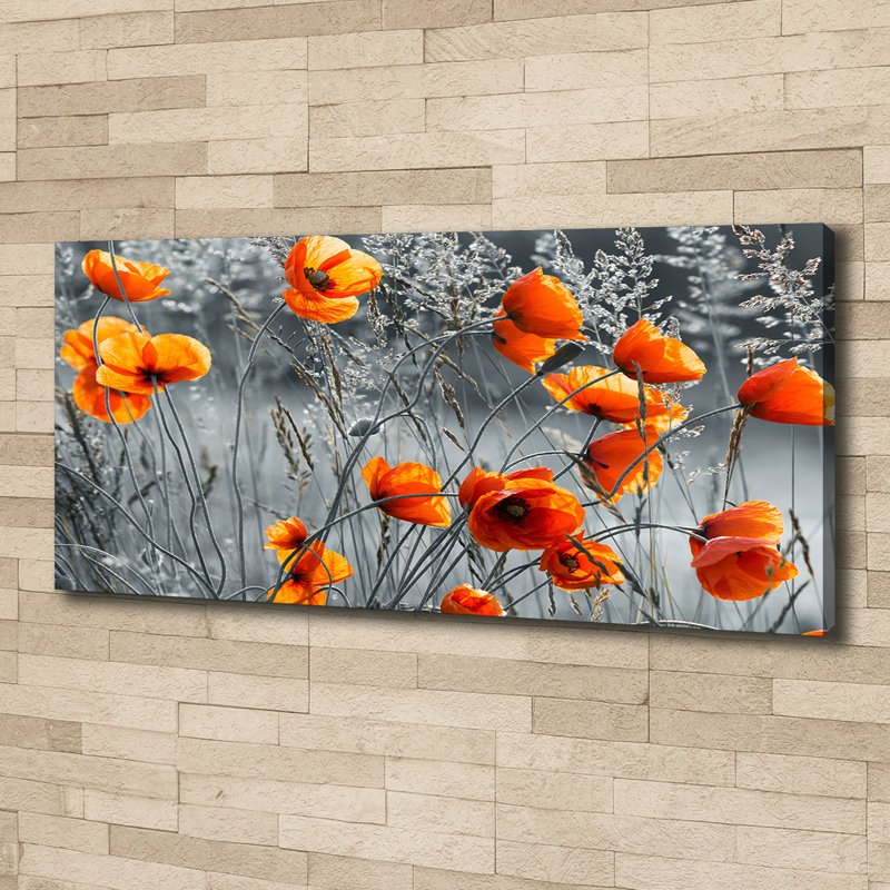 Field Poppies - Wrapped Canvas Print, Wrapped Canvas, 125cm H x 50cm W