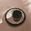 Stoneware Dinner Plate-584538977