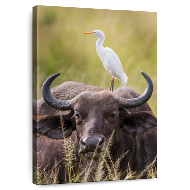 Brampt Cattle Egret And Buffalo, 39" H x 26" W