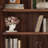 Modern popular bookcases