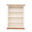 Mickel 120cm H Standard Bookcase-260733858-260733857