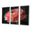 Ensemble de décoration murale monochrome Ranunculus Frozen Beauty II - Renoncule-107195682-107195673