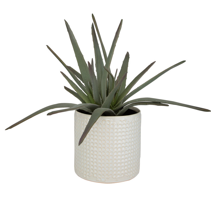 19'' Faux Aloe Plant in Ceramic Pot