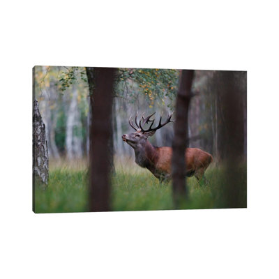 Red Deer II 1 Piece Wrapped Canvas Wall Art