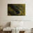 Linda's Flatworm-2145755395