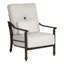 Coco Cushioned Lounge Chair w/One Accent Pillow