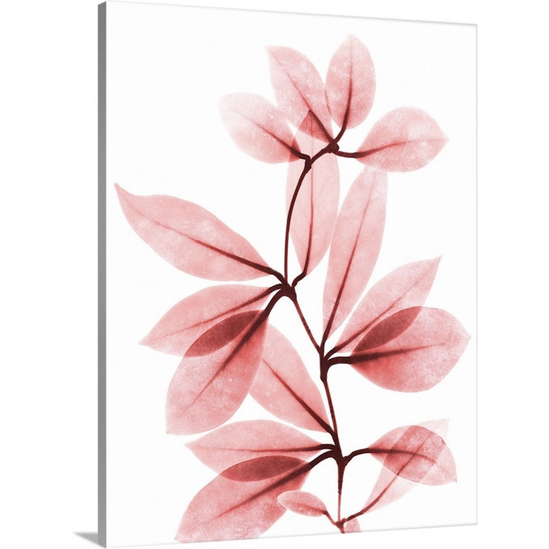 Reproduction d’art sur toile, "Coral Wonder 2" par Albert Koetsier, Toile tendue, H 16 po x l 12 po x P 1,25 po