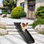 Rampe d'escalier pliante pour chien