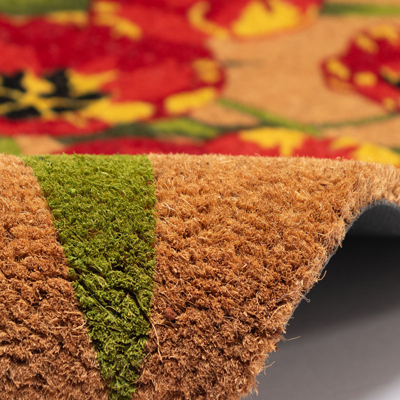 Tapis d'extérieur Natura, l 24 po x L 36 po