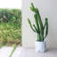 Pot de 10 en céramique avec texture marbre blanc