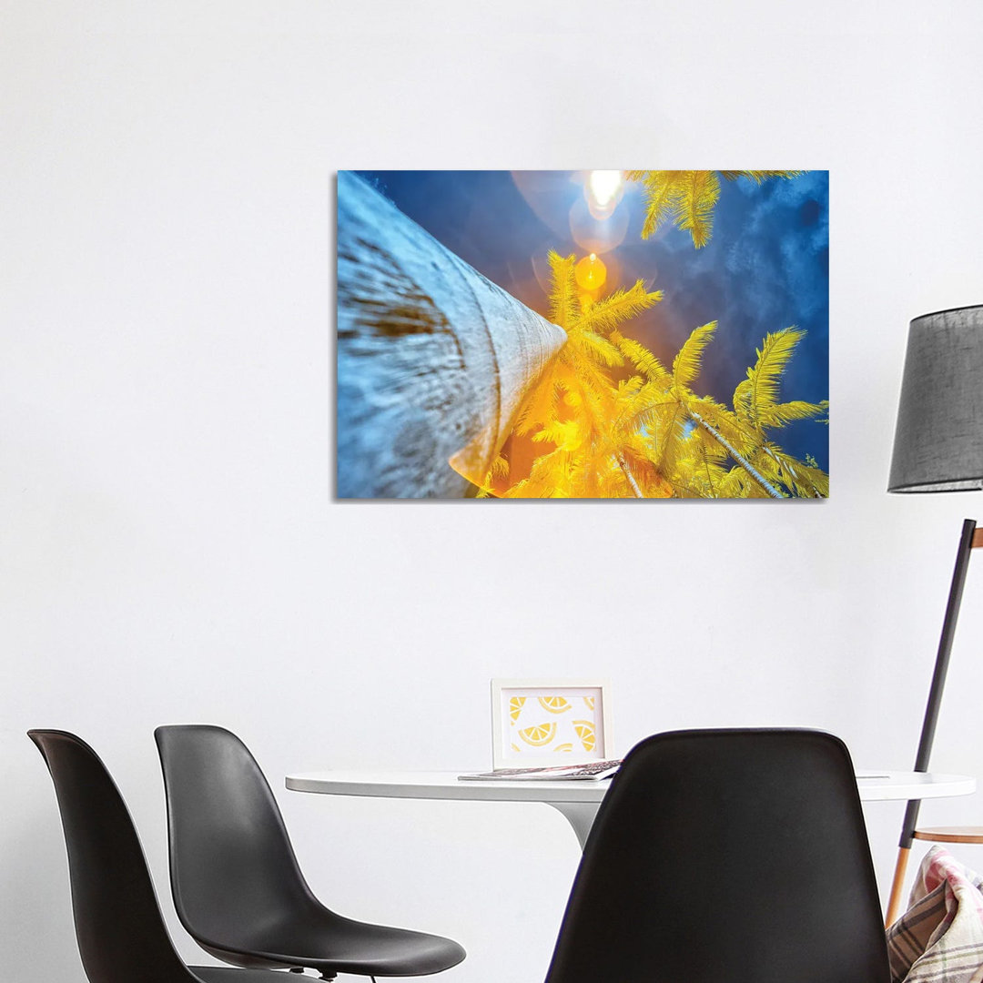 Palm Tree II by Glauco Meneghelli - Wrapped Canvas Gallery-Wrapped Canvas Giclée