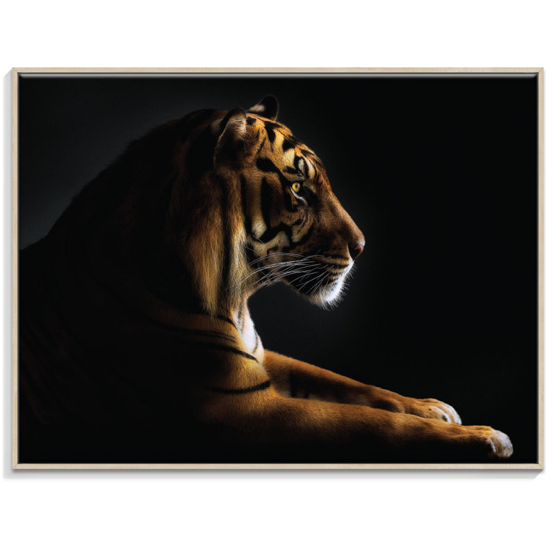 Floater Frame Print on Canvas, 42.5cm H x 52.5cm W
