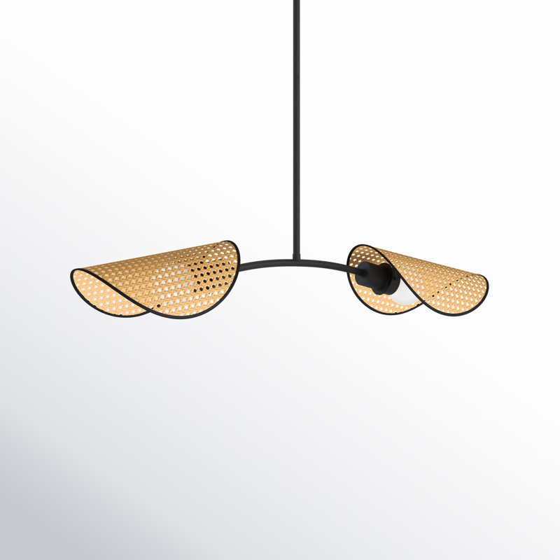 Luminaire suspendu pour îlot de cuisine 2 lumières Arkon