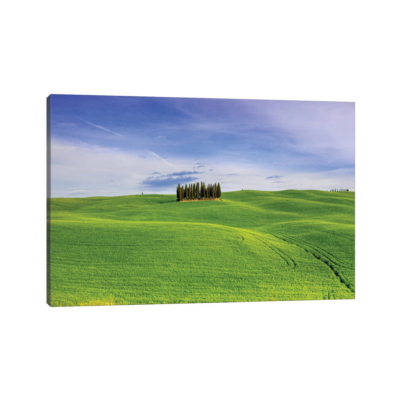 Italy, Tuscany, Val D'Orcia. Famous Cypress Grove. by Jaynes Gallery - Wrapped Canvas Gallery-Wrapped Canvas Giclée