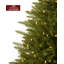 Sapin de Noël vert extra plein avec lumières DEL-828971863