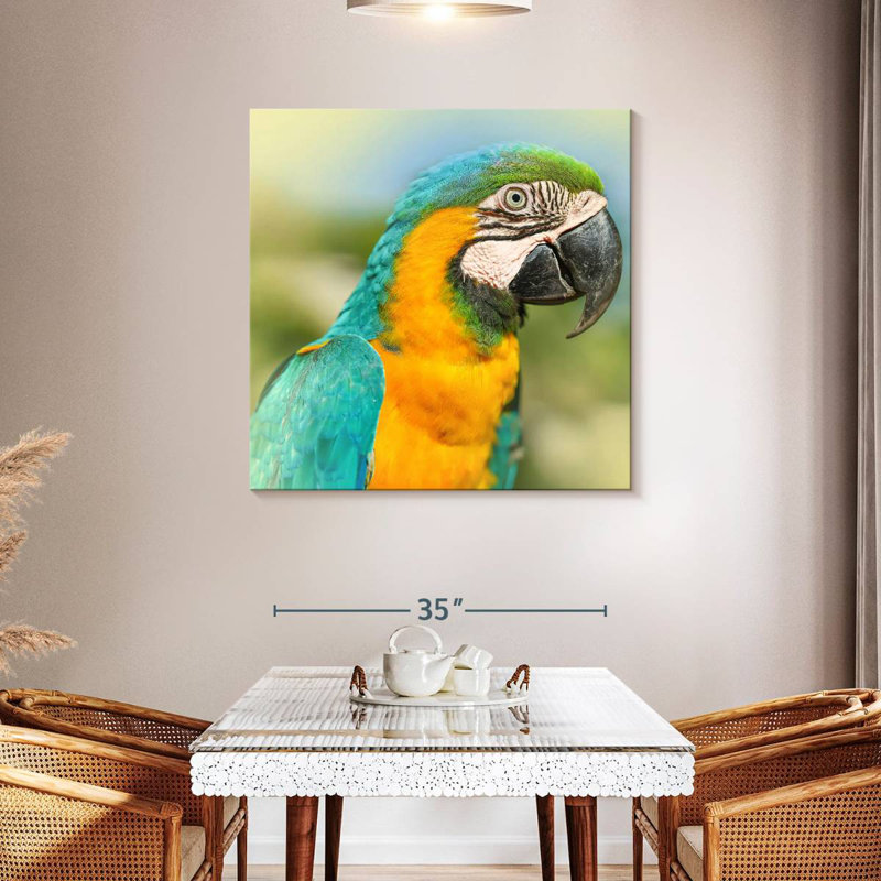 Brampt Parrot, 39" H x 39" W