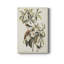 Pl 185 Bachman's Warbler - Reproduction sur toile tendue-1831716380