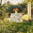 Aditya Tablecloth-9815197-9814990