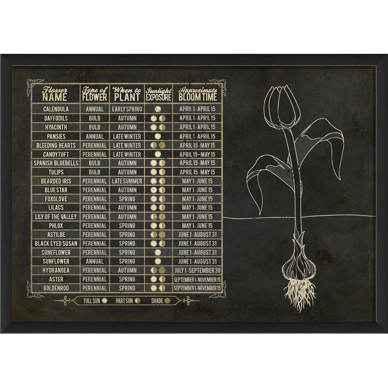 « fleur chart », art mural encadré