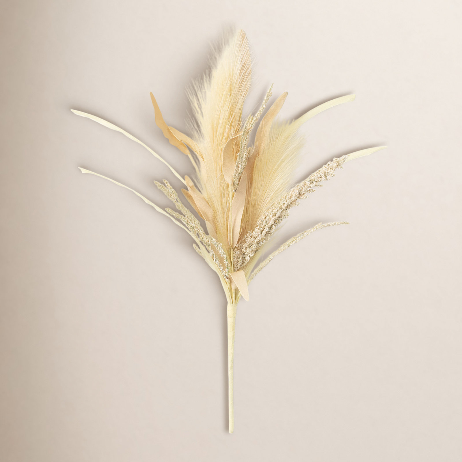 Edora Plume Grass Stems