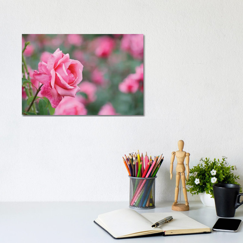 Garden Of Blooming Roses II by Mike Kiev - Wrapped Canvas Print, 20.32 cm H x 30.48 cm W