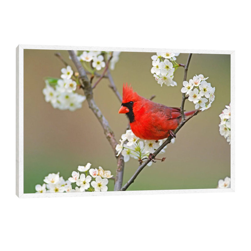 1 Piece Wall Art on Canvas, 66.04 cm H x 45.72 cm W, White Framed