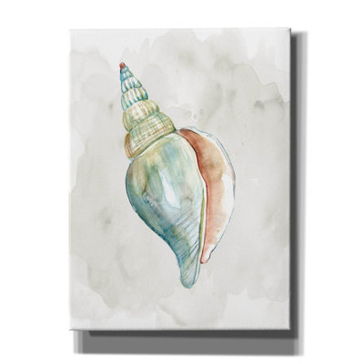«Pastel Shell II» par Carol Robinson