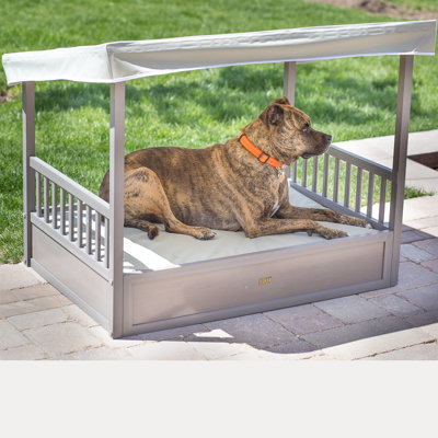 Newage Orthopedic Polyester Pet Bed
