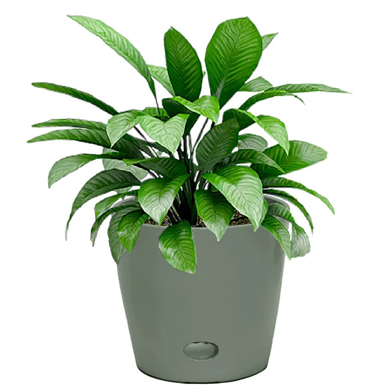 Bamboo Blooms 7" Round Sage Green Self-Watering Indoor/Outdoor Bamboo Plant Pot Kensuke