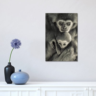 Gibons 1 Piece Wrapped Canvas Wall Art