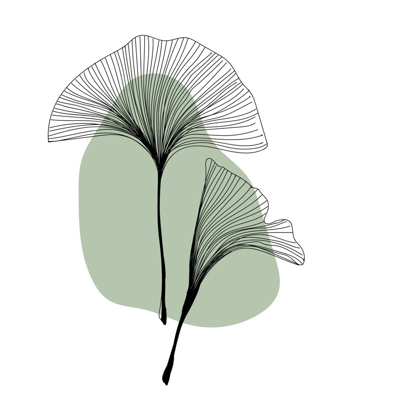 «Vector Illustration of Leaf» par Olga Zogina - impression sur toile tendue, H 30 po x l 30 po