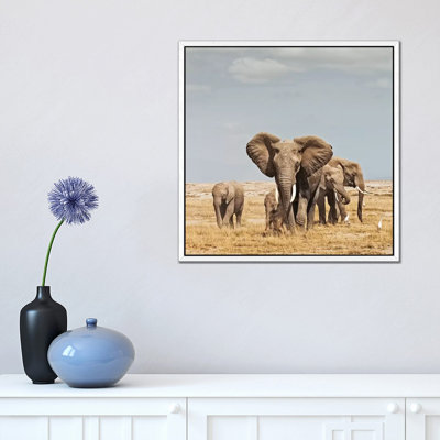 Colour Elephant Herd by Klaus Tiedge - Print on Canvas